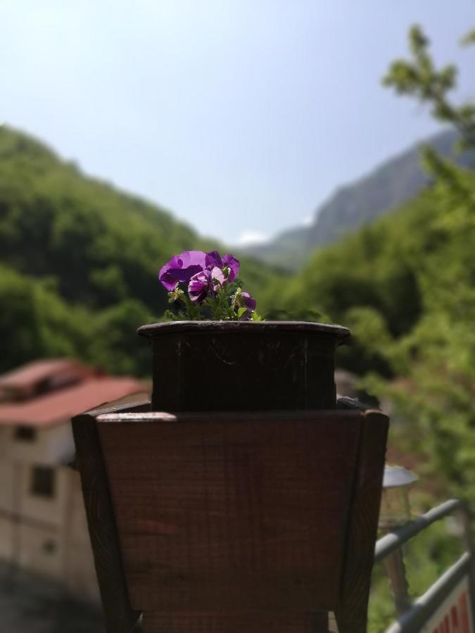Дом Бакалски-Кмета Narechenski Bani Zewnętrze zdjęcie