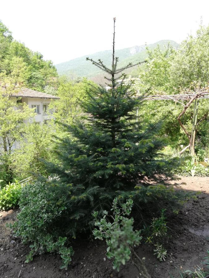 Дом Бакалски-Кмета Narechenski Bani Zewnętrze zdjęcie